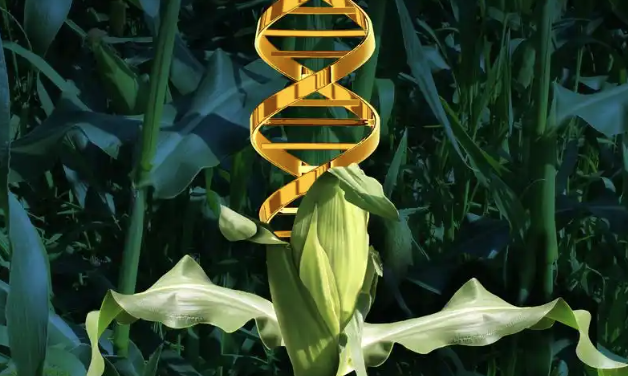 640 (2).png